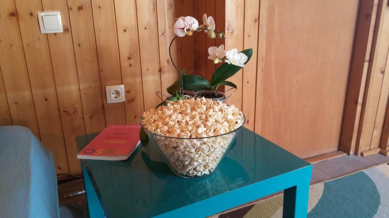 Apartman Joy Nin Extérieur photo